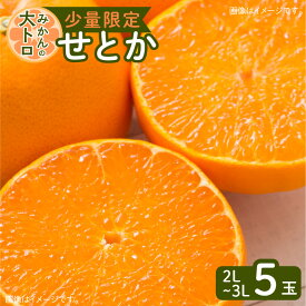 【ふるさと納税】令和5年4月30日までの申込限定 せとか 5玉 ハウス栽培 先行予約 期間限定 数量限定 柑橘 果物 フルーツ デザート 果実 果汁 甘い とろける 食感 美味しい 桜島 国産 九州産 鹿児島県産 産地直送 鹿児島県 送料無料