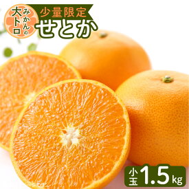 【ふるさと納税】令和5年4月25日までの申込限定 せとか 小玉 1.5kg ハウス栽培 先行予約 期間限定 数量限定 柑橘 果物 フルーツ デザート 果実 果汁 甘い とろける 食感 美味しい 桜島 国産 九州産 鹿児島県産 産地直送 鹿児島県 送料無料