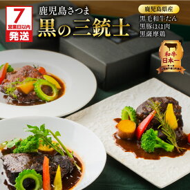 【ふるさと納税】【7営業日以内に発送】 和牛日本一 ！ 鹿児島 さつま 黒の三銃士 レトルト シチュー 3種 詰合せ セット 送料無料 鹿児島市 九州 ブラウンシチュー 黒毛和牛 黒豚 黒 薩摩鶏 牛タン タン ホホ肉 牛肉 豚肉 鶏肉 デミグラスソース 洋食【洋食グリル 肝付】