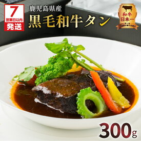 【ふるさと納税】【7営業日以内に発送】 和牛日本一 鹿児島県産 黒毛和牛 タン レトルト シチュー ブラウンシチュー 300g 牛肉 国産 国産牛 和牛 牛タン デミグラスソース グリーンペッパー 洋食 グルメ 贅沢 簡単調理 時短 総菜 鹿児島市 送料無料【洋食グリル 肝付】