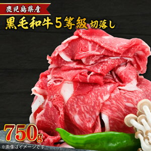 yӂ邳Ɣ[ŁzY јa 5 ؗ yeʂIׂz 500g ` 750g    5    a r[t Y Y  Ef  o ґ  l