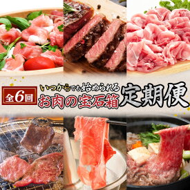 【ふるさと納税】【全6回】お肉 の 宝石箱 定期便 〈いつからでも始められる〉送料無料 鹿児島市 九州 お取り寄せ グルメ 特産品 お礼の品 贈り物 プレゼント ギフト 定期 豚 黒豚 牛 ステーキ すき焼き しゃぶしゃぶ 切り落とし 焼肉 冷凍