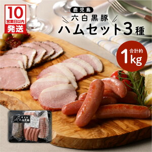 yӂ邳Ɣ[Łzy10cƓȓɔz  nZbg v 1kg 3 lߍ킹 Zbg  ؓ  n ECi[ \[Z[W n  {C  Z Y Ⓚ 