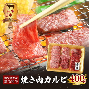 yӂ邳Ɣ[Łz a{I Y јa Ă Jr 400g B   Mtg Yi n̕i I i Yјa BBQ  _炩 oY wV[ 