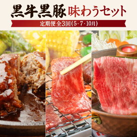 【ふるさと納税】【全3回】黒牛 黒豚 味わうセット 鹿児島県産 国産 ブランド牛 お肉 肉 和牛 国産牛 黒毛和牛 牛肉 霜降り 豚肉 豚 ハンバーグ カルビ スライス 食べ比べ セット パーティ 贈り物 ギフト 鹿児島市 送料無料 定期便