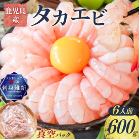 【ふるさと納税】 鹿児島産 タカエビ 600g 6人前 真空 パック 高海老 たかえび 海老 エビ 刺身 味噌汁 塩焼き 天ぷら フライ 魚介類 魚介 酒の肴 冷凍 新鮮 有頭 ノンドリップ 急速冷凍 甘えび 津曲商店 鹿児島 おすすめ ランキング プレゼント ギフト