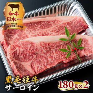 yӂ邳Ɣ[ŁzѕP T[CXe[L360g ӂ邳Ɣ[ s Y Y oY A4 ѕP IWiuh   r[t a Y јa i ґ ~ 