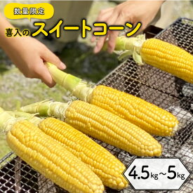 【ふるさと納税】喜入のスイートコーン 4.5kg ～ 5kg 数量限定 期間限定 鹿児島市 特産品 とうもろこし トウモロコシ 焼きとうもろこし スイートコーン コーン ポタージュ 甘い 野菜 おいしい おやつ お子様 子ども 贈り物 プレゼント ギフト お取り寄せ お土産 送料無料
