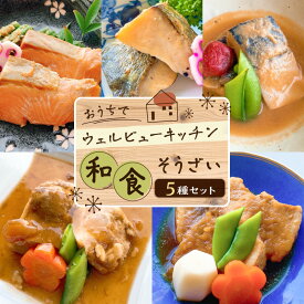 【ふるさと納税】「おうちでウェルビューキッチン」 和食 そうざい 5種 セット 送料無料 送料込 鹿児島市 九州 お取り寄せ グルメ 特産品 地域の品 お礼の品 贈り物 プレゼント ギフト おかず 冷凍 小分け 温めるだけ 簡単調理 仕送り