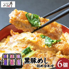 【ふるさと納税】【かごしま黒豚 六白亭】黒豚めし 詰合せ 6個 黒豚 豚 肉 豚めし かつ丼 黒豚丼 黒豚角煮 角煮 ロースかつ バラ肉 惣菜 総菜 おかず ごはん 調理済み 簡単調理 温めるだけ レンジ グルメ 鹿児島市 おすすめ ランキング プレゼント ギフト