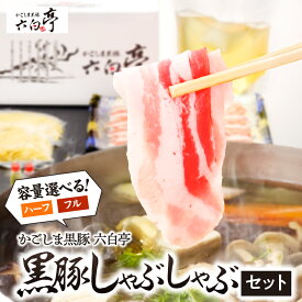 【ふるさと納税】＜容量選べる＞ かごしま黒豚 六白亭 黒豚 しゃぶしゃぶ セット 2～3人分 or 4～5人分 豚肉 豚しゃぶ 豚 バラ肉 黒豚専門店 鍋 ラーメン ゆず胡椒 冷凍 惣菜 美味しい だし スープ 六白黒豚 鹿児島 鹿児島市 おすすめ ランキング プレゼント ギフト