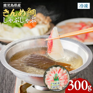 yӂ邳Ɣ[ŁzY ߑ₵Ԃ  s B  Yi yY 蕨 v[g Mtg vv ߑ ߂ ڑ L_C Ԃ