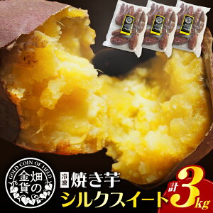 【ふるさと納税】 高評価★4.72 畑の金貨 冷凍 焼き芋 選べる 種類と重量 1kg 〜 3kg さつまいも 紅はるか シルクスイート 安納芋 甘い スイーツ 産地直送 甘いも販売所 甘芋 スイートポテト 蜜