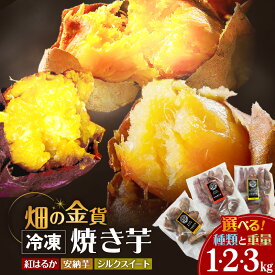 【ふるさと納税】 畑の金貨 冷凍 焼き芋 選べる 種類と重量 1kg ～ 3kg 【 1ヶ月以内発送 】 さつまいも 紅はるか 安納芋 シルクスイート 甘い スイーツ 産地直送 甘いも販売所 甘芋 スイートポテト デザート 鹿児島 おすすめ ランキング プレゼント ギフト