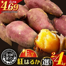 【ふるさと納税】【先行予約】 畑の金貨 生芋 紅はるか 容量が選べる 2kg or 4kg 送料無料 さつまいも 生 芋 野菜 長期 熟成 ねっとり しっとり 甘い 焼き芋 焼芋 天ぷら スイートポテト 大学芋 料理 甘いも 甘芋 甘いも販売所 鹿児島市 土産 贈り物 プレゼント ギフト 贈答