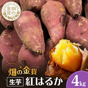 yӂ邳Ɣ[Łzys\z ̋  g͂邩 eʂIׂ 2kg or 4kg  ܂     n ˂Ƃ Ƃ Â Ă Ĉ VՂ XC[g|eg w 