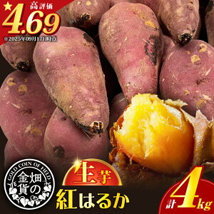 【ふるさと納税】【先行予約】 畑の金貨 生芋 紅はるか 容量が選べる 2kg or 4kg 送料無料 さつまいも 生 芋 野菜 長期 熟成 ねっとり しっとり 甘い 焼き芋 焼芋 天ぷら スイートポテト 大学芋