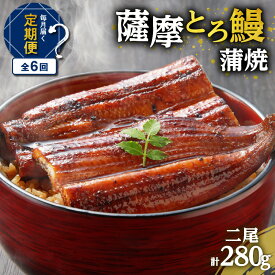 【ふるさと納税】【全6回定期便】薩摩 とろ鰻 蒲焼 二尾 送料無料 鹿児島市 九州 国産 冷凍 お取り寄せ 特産品 地域の品 お礼の品 お土産 贈り物 プレゼント ギフト 手作り 手仕事 職人 こだわり うなぎ かば焼き ひつまぶし うな丼 丼 うな重 贈答 お返し 御返し 定期