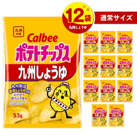 【ふるさと納税】＜選べる＞ カルビー ポテトチップス 九州しょうゆ うすしお コンソメパンチ のりしお サイズ ビッグバッグ BIGBAG 定期便 ポテチ チップス お菓子 Calbee セット 大容量 セイカ食品 鹿児島市 おすすめ ランキング プレゼント ギフト