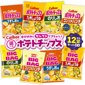【ふるさと納税】＜選べる＞ カルビー ポテトチップス 九州しょうゆ うすしお コンソメパンチ のりしお サイズ ビッグバッグ BIGBAG 定期便 ポテチ チップス お菓子 Calbee セット 大容量 セイカ食品 鹿児島市 おすすめ ランキング プレゼント ギフト