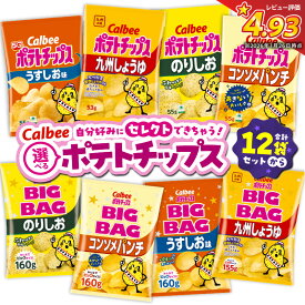 【ふるさと納税】＜選べる＞ カルビー ポテトチップス 九州しょうゆ うすしお コンソメパンチ のりしお サイズ ビッグバッグ BIGBAG 定期便 ポテチ チップス お菓子 Calbee セット 大容量 セイカ食品 鹿児島市 おすすめ ランキング プレゼント ギフト