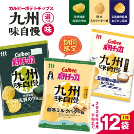 【ふるさと納税】＜選べる＞ カルビー ポテトチップス 九州味自慢 五島灘の塩味あごだし風味 有明海産佐賀のり味 熊本ミルクバター味 ポテチ チップス 九州 沖縄 限定 Calbee 塩 のり ミルク バター セイカ食品 鹿児島 おすすめ ランキング プレゼント ギフト