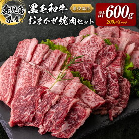 【ふるさと納税】 鹿児島県産 黒毛和牛 おまかせ 焼肉 600g 送料無料 鹿児島市 九州 お取り寄せ 特産品 お土産 贈り物 プレゼント ギフト 肉 希少 部位 厳選 ミスジ 三角バラ ショートリブ フランク カイノミ 小分け 冷凍 ストック 便利 カミチク
