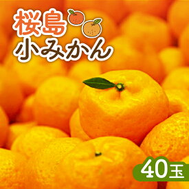 【ふるさと納税】【2025年12月3日までの申込限定】 桜島 小みかん 40玉 みかん 小ミカン オレンジ フルーツ 果物 甘い 美味しい ジューシー 限定 期間限定 数量限定 色鮮やか デザート 食卓 紅さくら 鹿児島みらい農業協同組合 鹿児島 おすすめ ランキング プレゼント ギフト