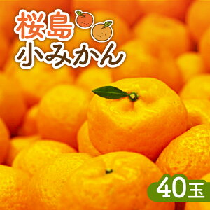 yӂ邳Ɣ[Łzy2025N123܂ł̐\z  ݂ 40 ݂ ~J IW t[c ʕ Â  W[V[  Ԍ ʌ FN₩ fU[g H g