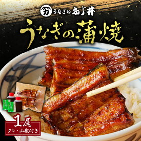 【ふるさと納税】「 うなぎのふじ井 」うなぎの蒲焼 1尾 or 2尾 送料無料 鰻 蒲焼き うな丼 うな重 ひつまぶし うざく たれ 土用 丑の日 選べる 鹿児島市 土産 贈り物 プレゼント ギフト 贈答