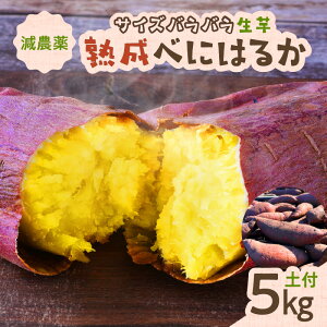 yӂ邳Ɣ[Łz TCYoo n ׂɂ͂邩  5kg yt g͂邩  ܂   Ԍ ʌ  yt Â Ƃ Ö n y n-farm ӂ邳Ɣ[ 