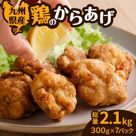 【ふるさと納税】九州県産 鶏の唐揚げ 冷凍 惣菜 総菜 肉 鶏 おかず からあげ チキン 簡単 調理 揚げるだけ 小分け 大容量 N.H.company 鹿児島 おすすめ ランキング プレゼント ギフト