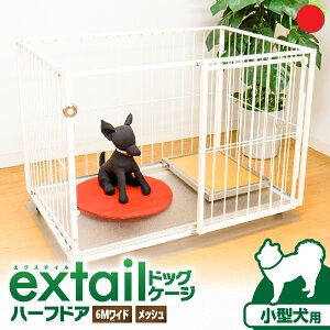 yӂ邳Ɣ[ŁzIׂ遄 ^p ybgP[W 6M Ch bV n[thA    ybg P[W Q[W hA LX^[  ^ p ybgpi  X`[ CeA exta