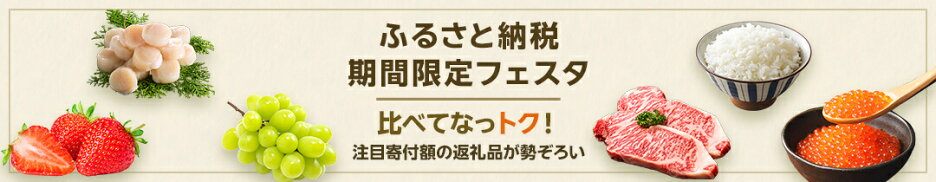 ふるさと納税 期間限定フェスタ