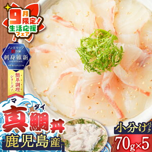 yӂ邳Ɣ[ŁzyԌ zY ^☥ 70g×5Zbg  hg  ^ ^C ^_C Jbg CN  ⒃Ђ Jpb` 芪i Ⓚ ȒP ֗ VN Nx mhb