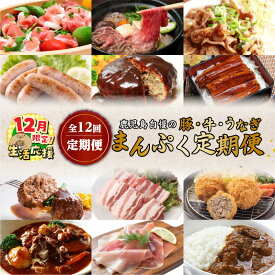 【ふるさと納税】【期間限定 生活応援】 【 全12回 定期便 】 鹿児島 自慢の 豚 ・ 牛 ・ うなぎ 「 まんぷく 定期便 」1年 コース 黒豚 和牛 黒毛和牛 鰻 ハンバーグ 生ハム ソーセージ もつ ホルモン お肉 牛肉 豚肉 メンチカツ 精肉 加工肉 加工品 鹿児島県産 鹿児島市