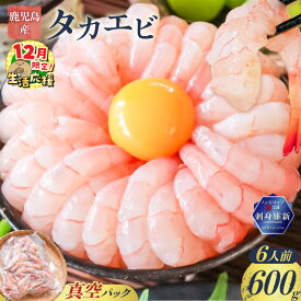 【ふるさと納税】【期間限定 生活応援】 鹿児島産 タカエビ 600g 6人前 真空 パック 高海老 たかえび 海老 エビ 刺身 味噌汁 塩焼き 天ぷら フライ 魚介類 魚介 酒の肴 冷凍 新鮮 有頭 ノンドリップ 急速冷凍 甘えび 津曲商店 鹿児島 おすすめ ランキング プレゼント ギフト