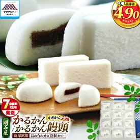 【ふるさと納税】【7営業日以内に発送】 かるかん かるかん饅頭 詰め合わせ セット 九州 お取り寄せ 贈り物 饅頭 名物 銘菓 薩摩銘菓 鹿児島銘菓 生菓子 伝統菓子 郷土菓子 和菓子 殿様菓子 元祖 明石屋 デザート お茶菓子 自然薯 敬老の日 鹿児島市