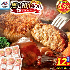 【ふるさと納税】肉のヨコムラ 鹿児島県産 黒毛和牛100%ハンバーグ（2個入×6パック） 鹿児島市 九州 国産 お取り寄せ 特産品 お礼の品 お土産 プレゼント ギフト 肉 牛肉 黒毛和牛 安心 安全 逸品 旨味 美味しい 手作り ハンバーグ 加工品 惣菜 敬老の日