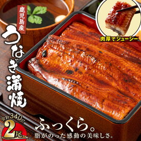 【ふるさと納税】【土用の丑の日対応7/7入金まで】鹿児島産 うなぎ 170g×2尾 合計340g ウナギ 蒲焼き 養殖 たれ付 真空パック 湯煎 レンジ 簡単調理 国産 鹿児島県 【財宝】