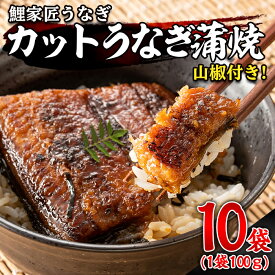 【ふるさと納税】 ＜国産＞ 備長炭手焼 『鯉家匠うなぎ』うなぎカット蒲焼1kg［100g×10袋］ 特製タレ付き！タレと炭の香り豊かな備長炭焼き　鰻のかばやき！【大隅うなぎ販売有限会社】