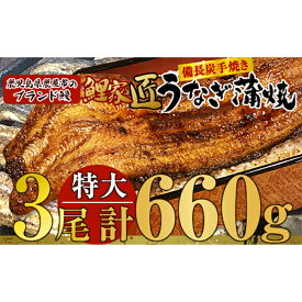 【ふるさと納税】【土用の丑の日対応7/7入金まで】 ＜国産＞ 備長炭手焼　鯉家匠うなぎの蒲焼 特大3尾 計660g 特製タレ・山椒付き！タレと炭の香り豊かな備長炭焼き鰻の蒲焼！【大隅うなぎ販売有限会社】