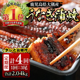 【ふるさと納税】【定期便4回】大隅特産うなぎ蒲焼 3尾（510g）合計2.04kg たれ付 真空パック 湯煎 レンジ 簡単調理 国産 国産うなぎ 定期 うなぎ蒲焼 鹿児島県 鹿屋市【寺園商店】