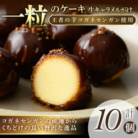 【ふるさと納税】一粒のケーキ 10個 (5個×2箱) 唐芋 芋菓子 洋菓子 お誕生日 バレンタイン ホワイトデー 父の日 母の日 【（株）大隅半島農林文化村】