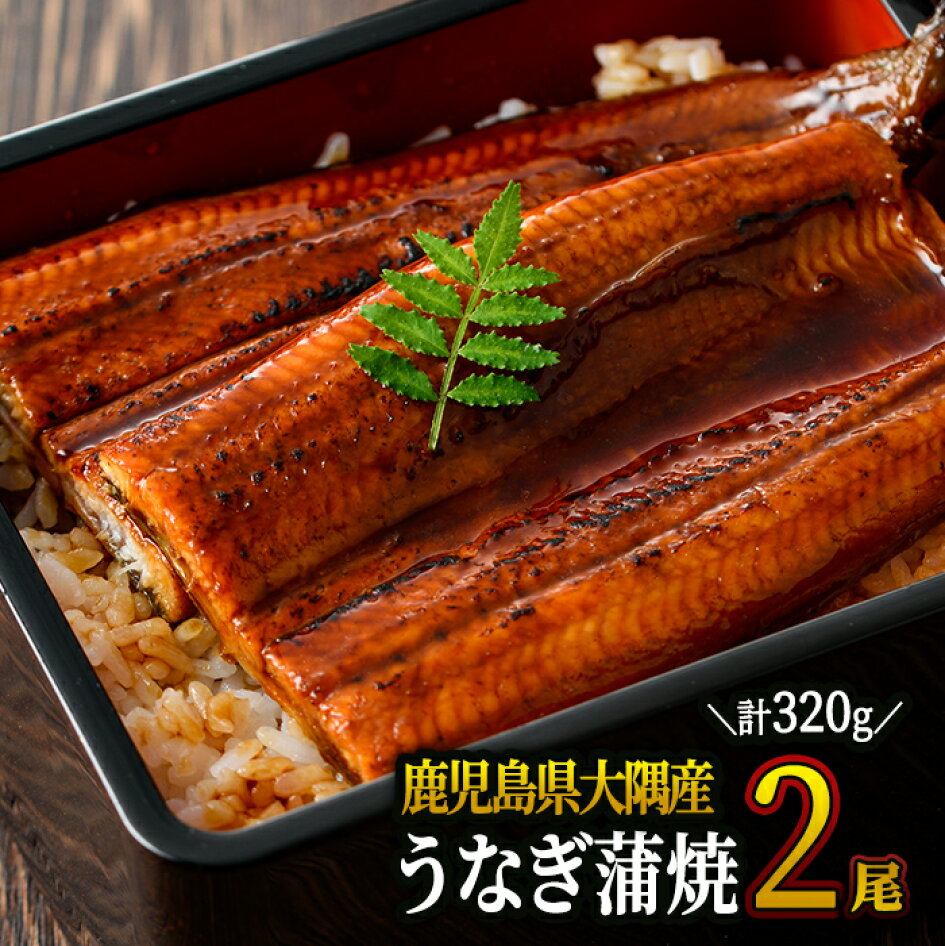 楽天市場】【ふるさと納税】 <国産> 鹿児島県大隅産うなぎ蒲焼2尾(計320g・160g×2尾)たれ・山椒付き!できたての鰻蒲焼きを真空パックし急速冷凍でお届け!【大隅地区養まん漁業協同組合】 : 鹿児島県鹿屋市 楽天市場】【ふるさと納税】 <国産> 鹿児島県大隅産うなぎ蒲焼2尾(計320g・160g×2尾)たれ・山椒付き!できたての鰻蒲焼きを真空パックし急速冷凍でお届け!【大隅地区養まん漁業協同組合】 : 鹿児島県鹿屋市