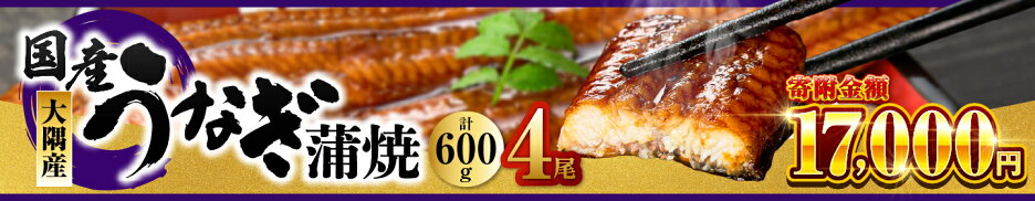 【ふるさと納税】【土用の丑の日特集】【期間限定】高評価レビュー ☆4.63＜選べる＞鹿児島県 大隅産 うなぎ 蒲焼 2尾〜20尾 計360g〜3kg