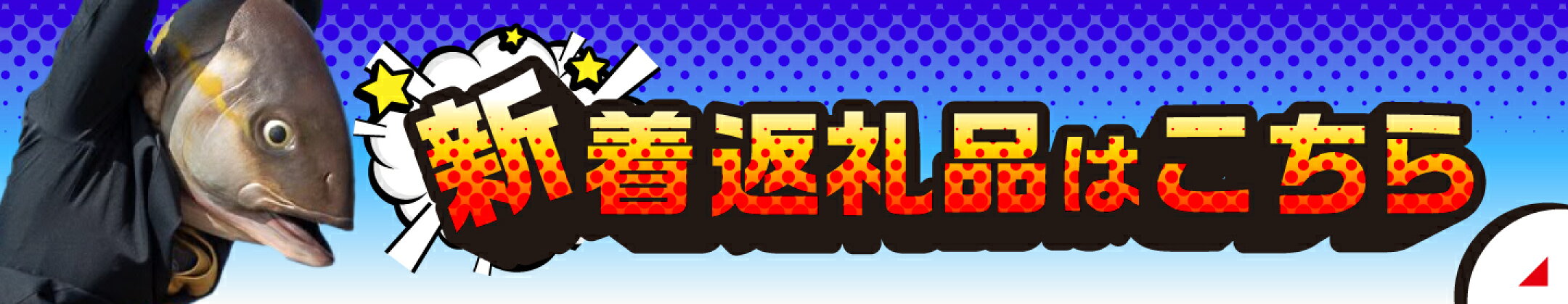 新着返礼品はこちら