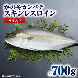【ふるさと納税】かのやカンパチロイン（カマ入）合計800g(かんぱち スキンレスロイン（骨・皮なし）2柵　合計700g、かんぱち カマ 100g×1個) 鹿児島県産 国産 かんぱち カンパチ【鹿屋市漁業協同組合】