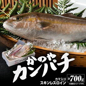 【ふるさと納税】かのやカンパチロイン（カマ入）合計800g(かんぱち スキンレスロイン（骨・皮なし）2柵　合計700g、かんぱち カマ 100g×1個) 鹿児島県産 国産 かんぱち カンパチ【鹿屋市漁業協同組合】
