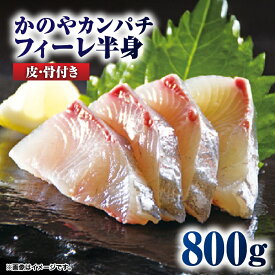 【ふるさと納税】かのやカンパチフィーレ 800g 鹿児島県産 国産 かんぱち カンパチ 海産物 魚介 刺身 カルパッチョ ブランド 出世魚 勘八【鹿屋市漁業協同組合】